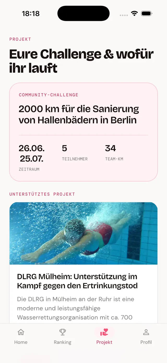 App: unterstütztes Projekt und Spendenstand